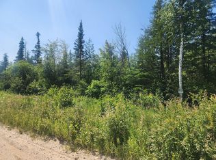 County Road 415, Mc Millan, MI 49853