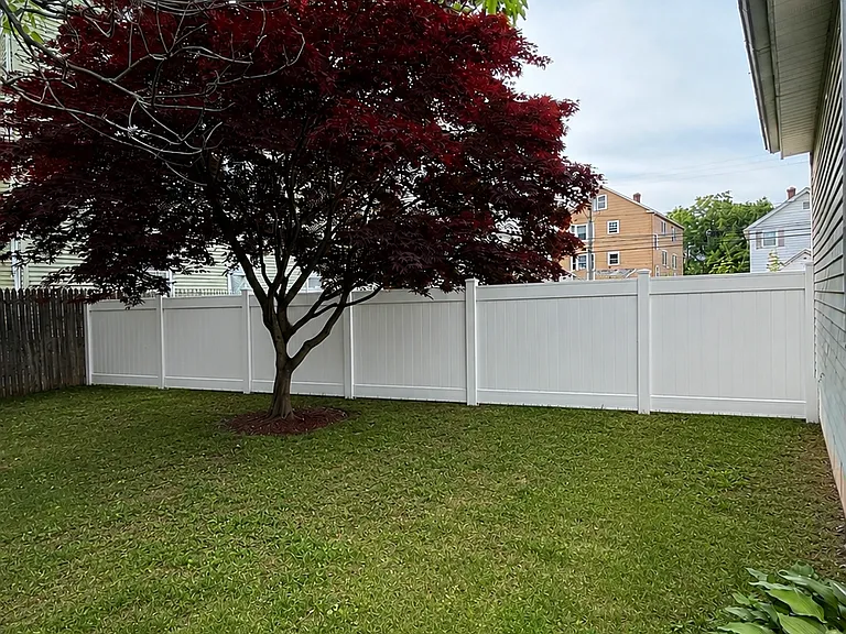 5 Whitman St #2 — Photo 19