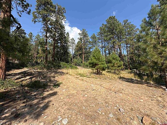 5th image of 150 Pine Ridge