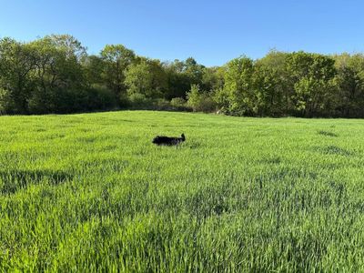X Oxboro Ave N, Marine On Saint Croix, MN, 55047