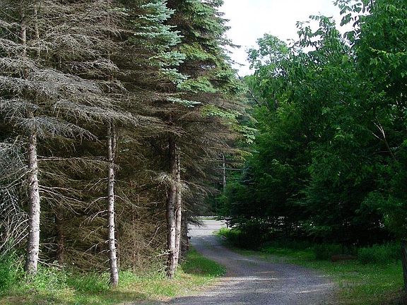 4th image of 1183 State Highway 23