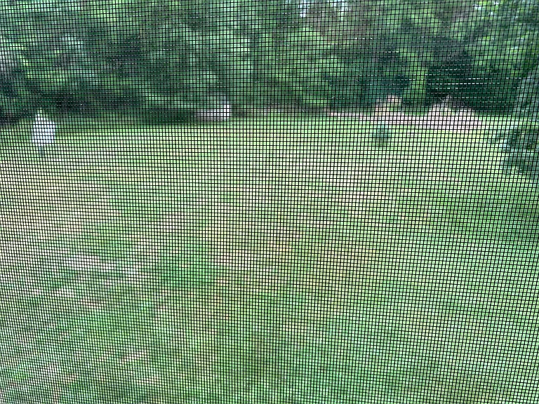 6105 Dacola Shores Rd — Photo 29