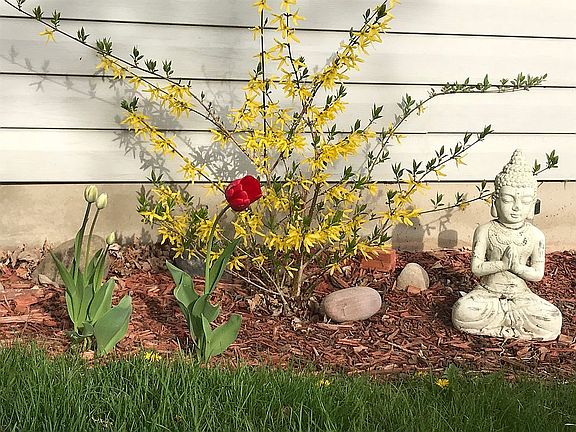 The start of Landscaping