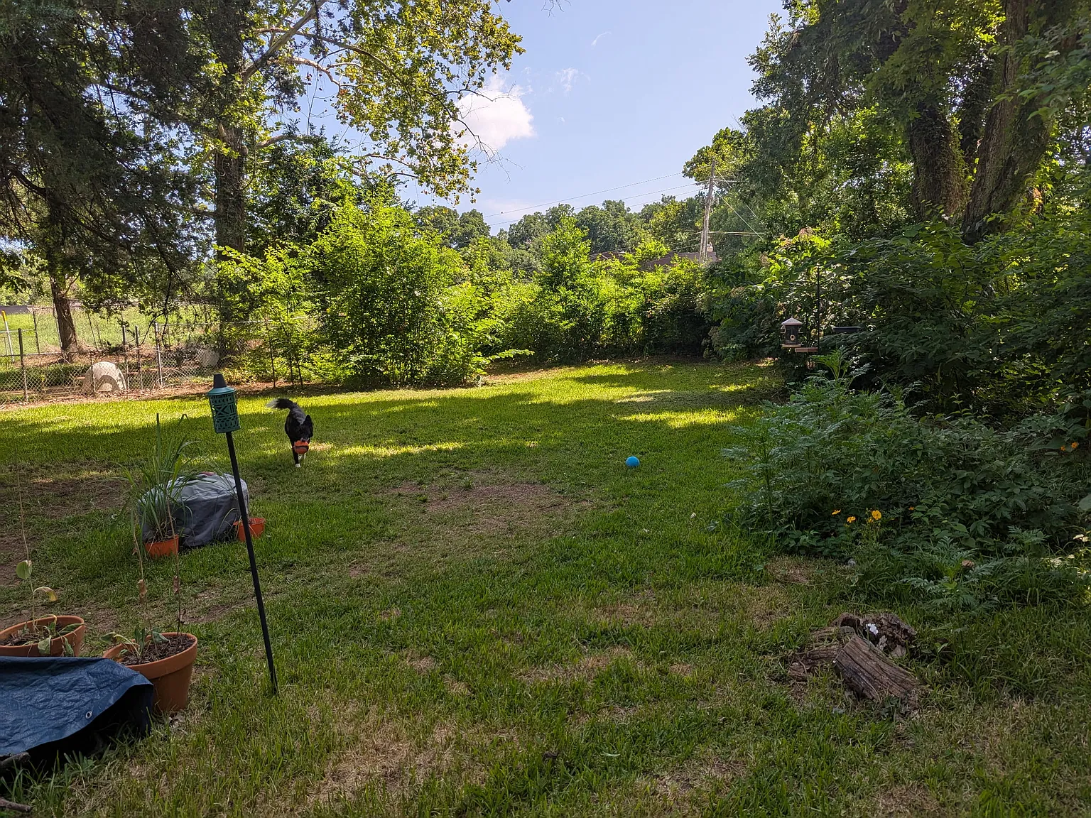 3 bed, 1248 sqft, $1,300 — Photo 3