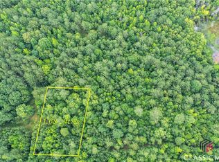 2 New Hope Vesta Rd, Carlton, GA 30627