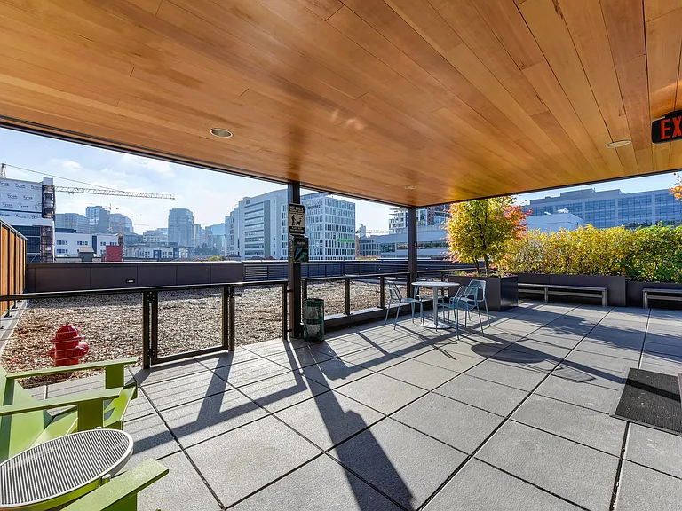 Rooftop Dog Run