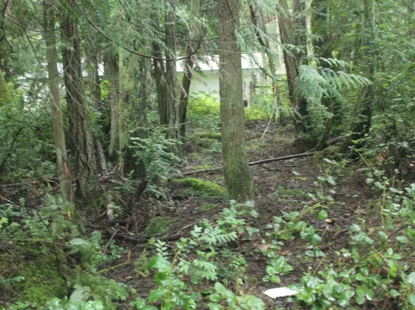 12820 Silver Dr, Anderson Island, WA 98303