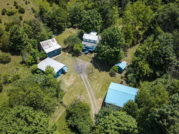 168 Kisamore Vineyard Ln, Seneca Rocks, WV 26884
