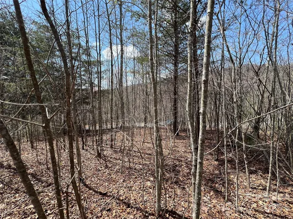 192 Pine Cone Trl #21, Marshall, NC 28753