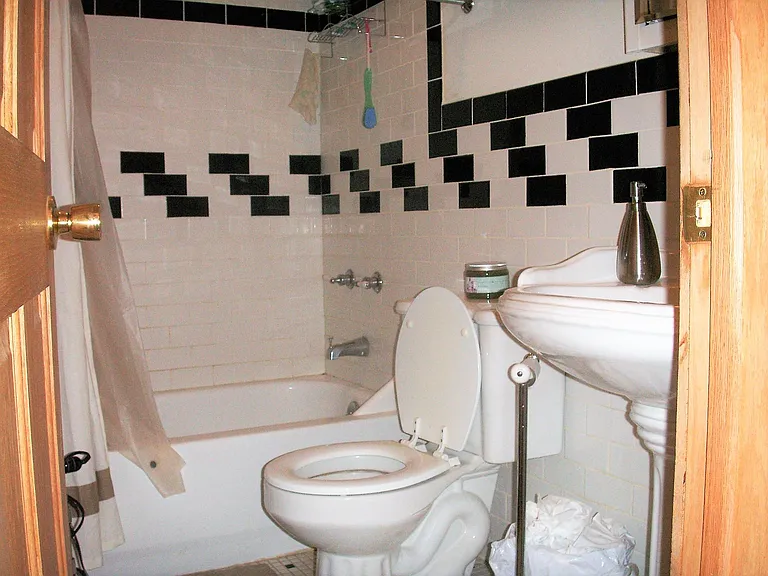 2836 N Damen Ave #3 — Photo 15