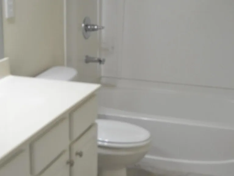 285 Snowgoose Ct — Photo 5
