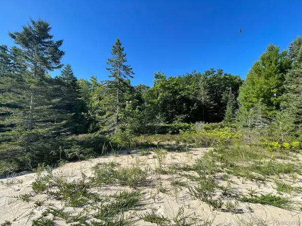 Surf Park Lot 202, Millersburg, MI 49759