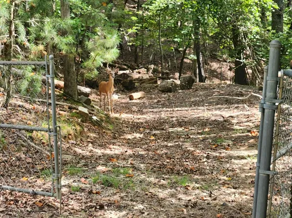 19B/2545 Frigate Dr, Ellijay, GA 30540