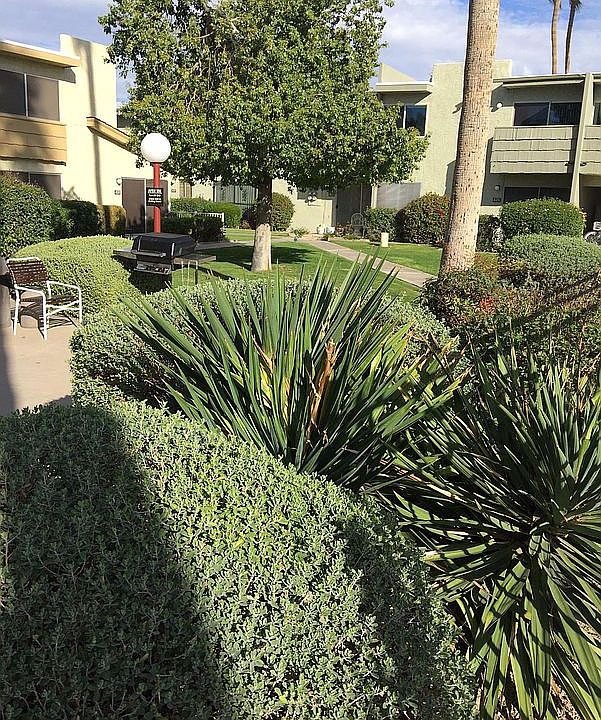 Verdant green spaces with King palms