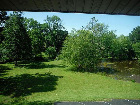 View From Sunroom