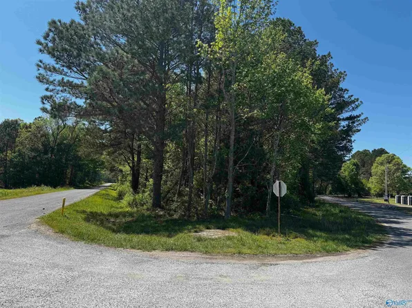 County Road 462, Centre, AL 35960