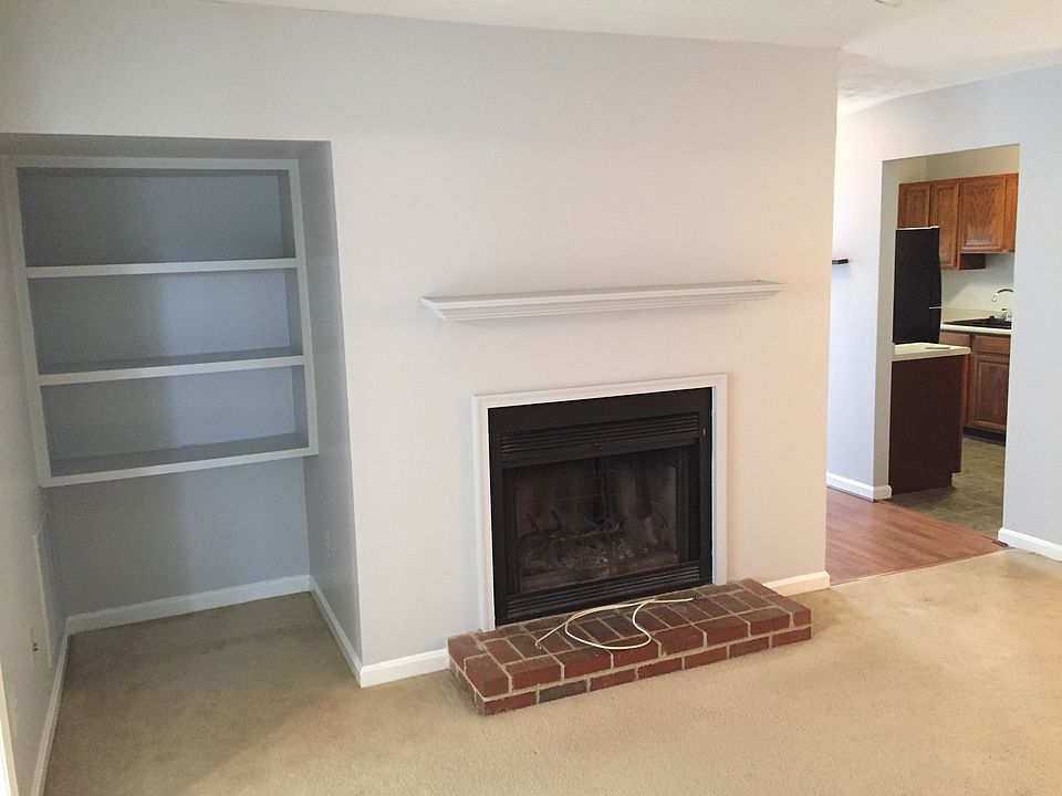 Wood burning fireplace