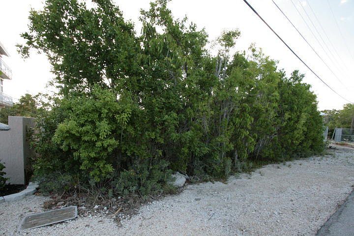 2nd image of 209 La Paloma Rd