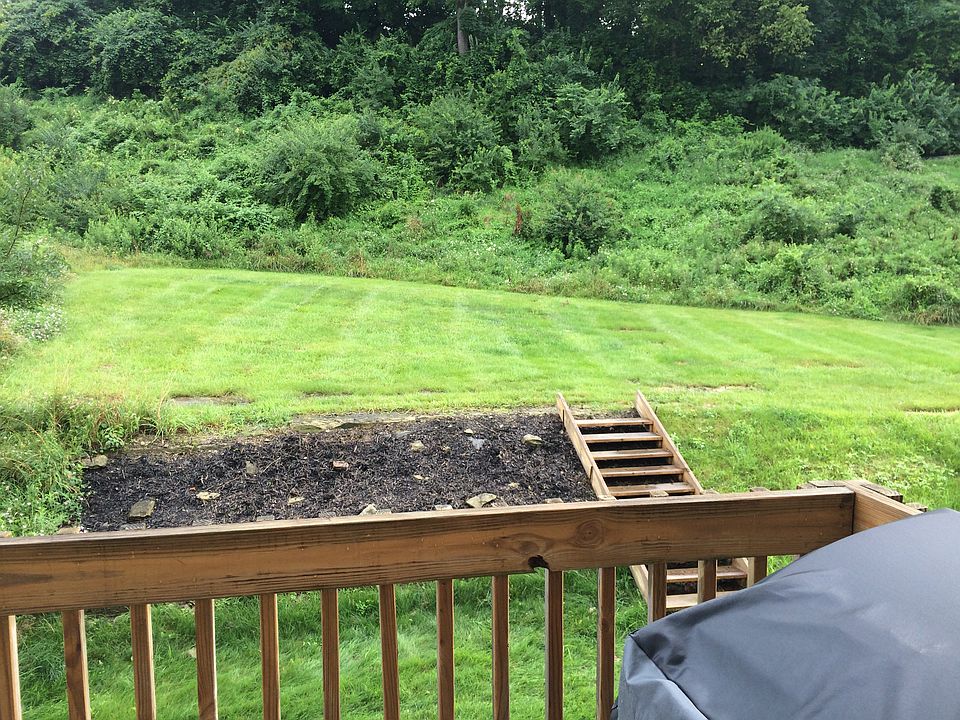 Deck - Backyard