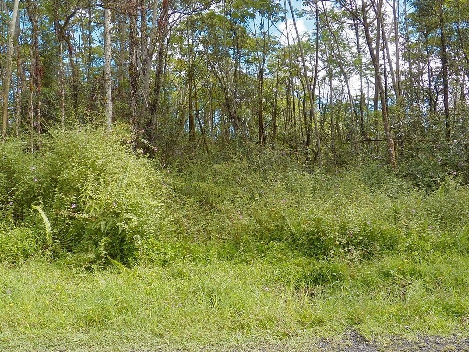 2nd image of Alii Rd