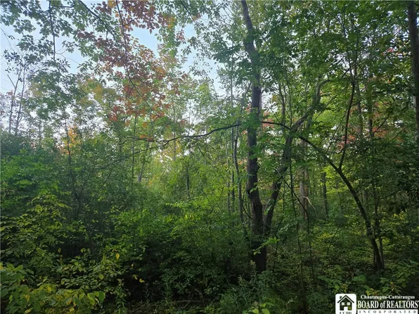 0 Tastor Ln Lot 16, Fredonia, NY 14063