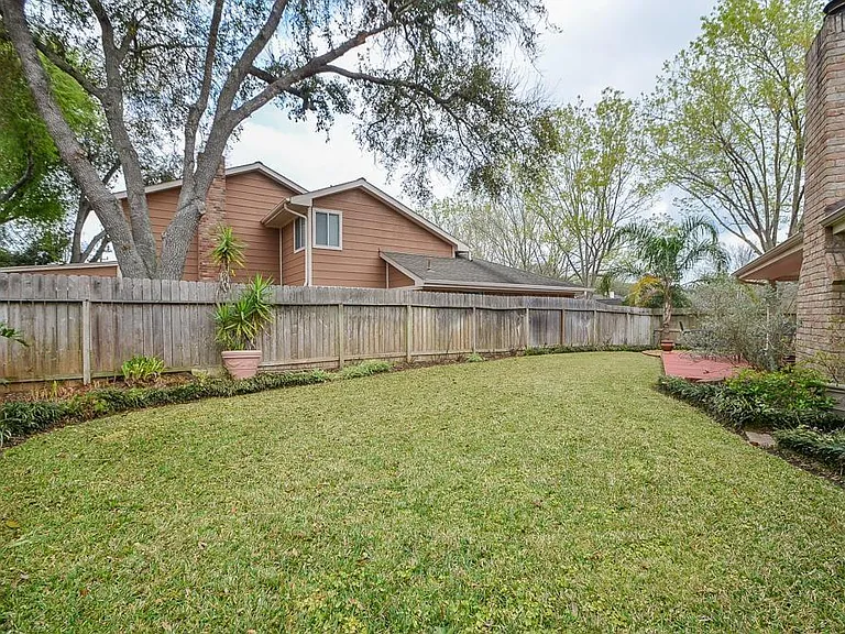 Another backyard view
