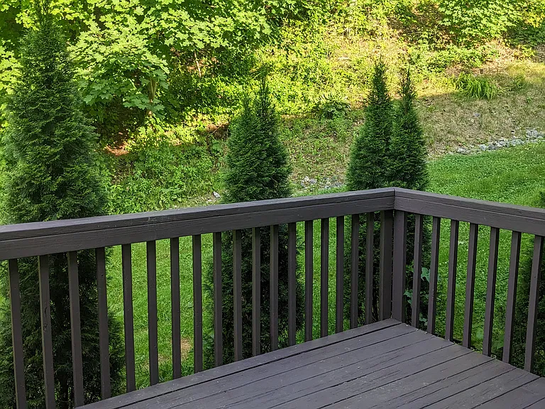 197 Pine Hill Rd #3B — Photo 16
