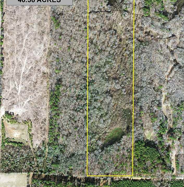 2nd image of Dixie Ln