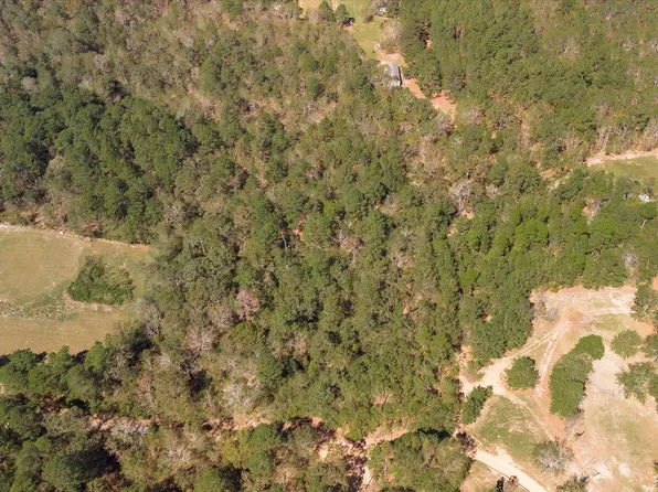 55 Potter Ln, Warrenville, SC 29851