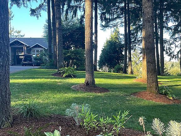 Front lawn 
