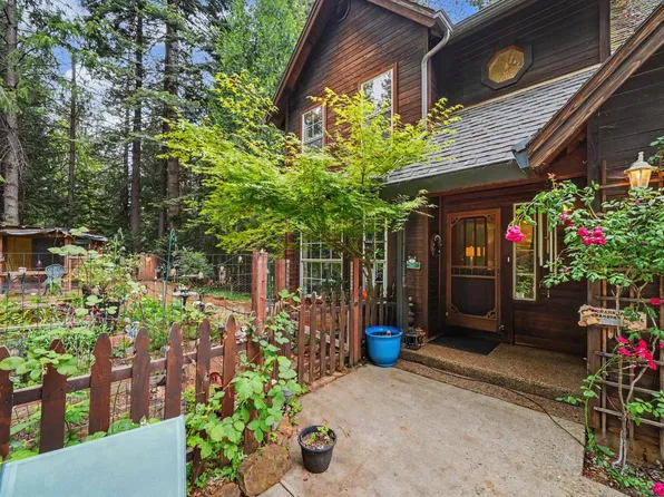 19050 Circle View Dr, Pioneer, CA 95666