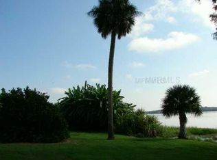 24006 N Buckhill Rd, Howey in the hills, FL 34737