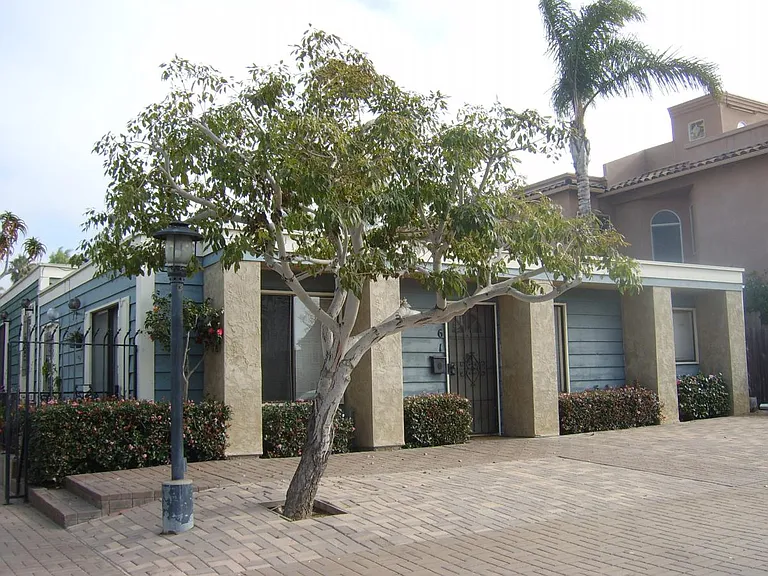 7463 Cuvier St — Photo 4