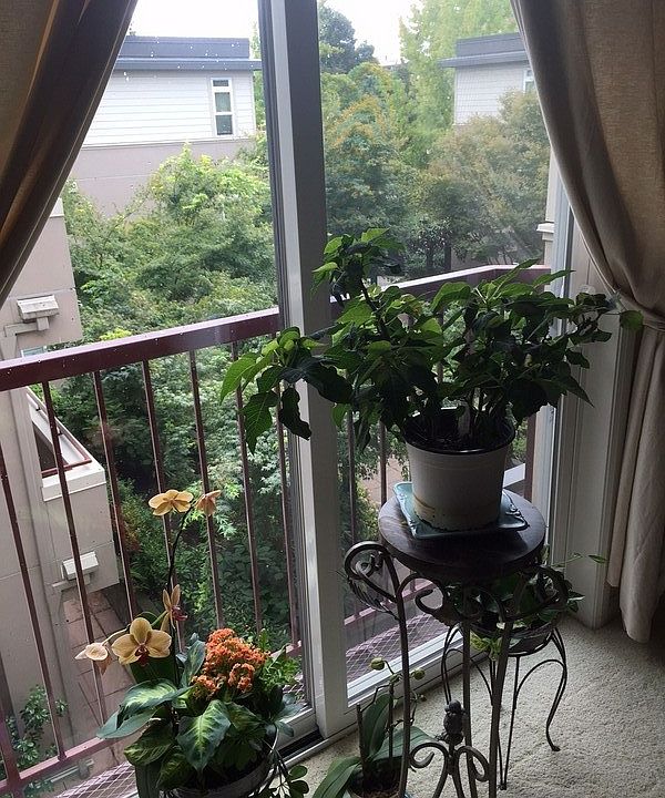 1st image of 102 State St S APT 308W