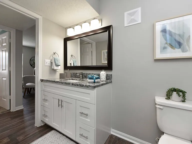 Bathroom + Granite Counters