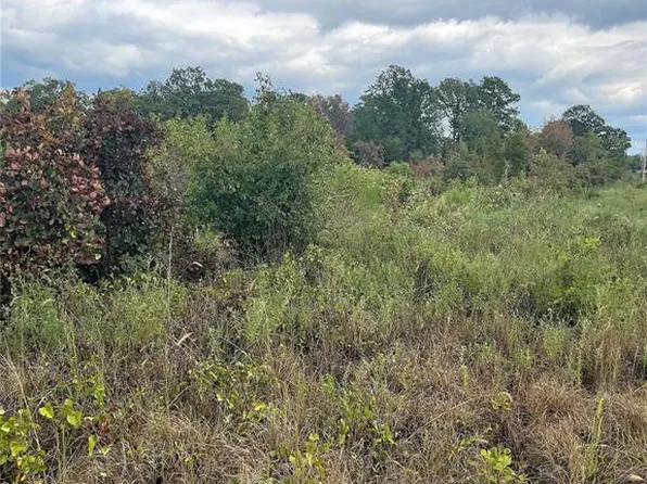 Horned Owl Rd, Valliant, OK 74764