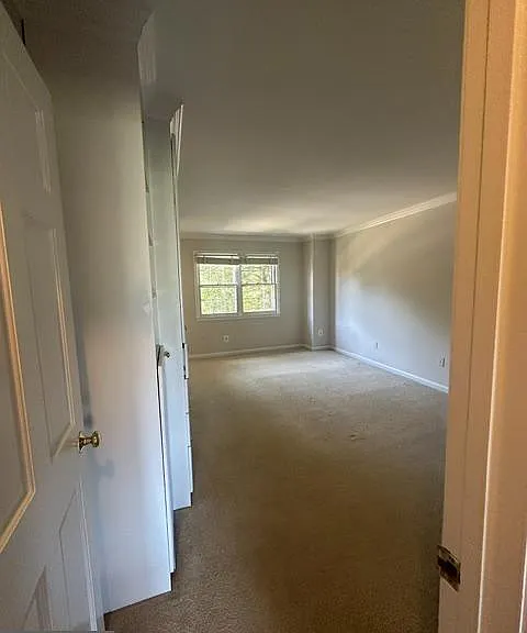 7412 Hallcrest Dr — Photo 15