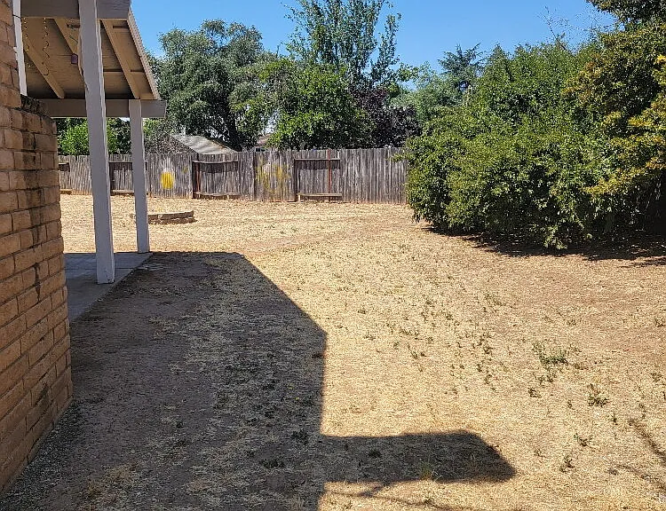 10020 Biscanewoods Way — Photo 19