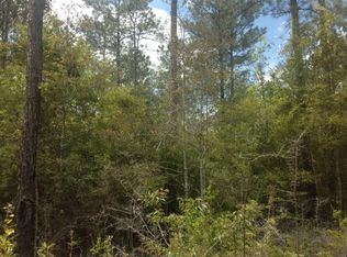 Turner St, Waynesboro, MS 39367