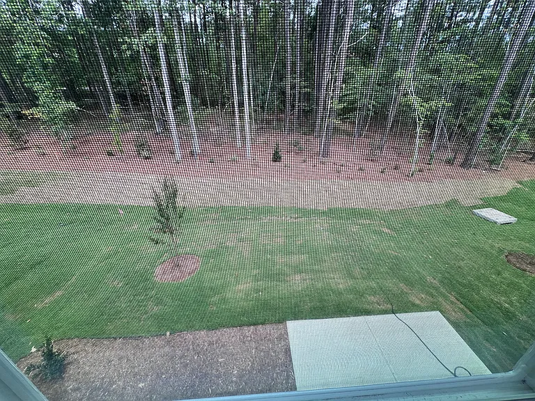 Private Backyard-Pic 1