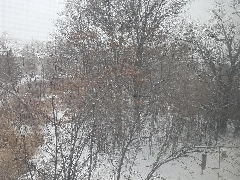 Nature view from upper level bedrooms