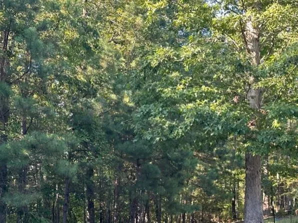 County Road 45 Rd, Rockford, AL 35136