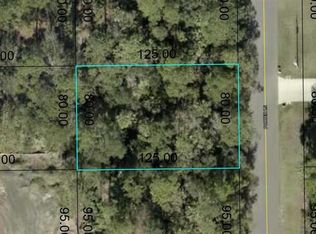 3 Porter Ln LOT 10, Palm Coast, FL 32164