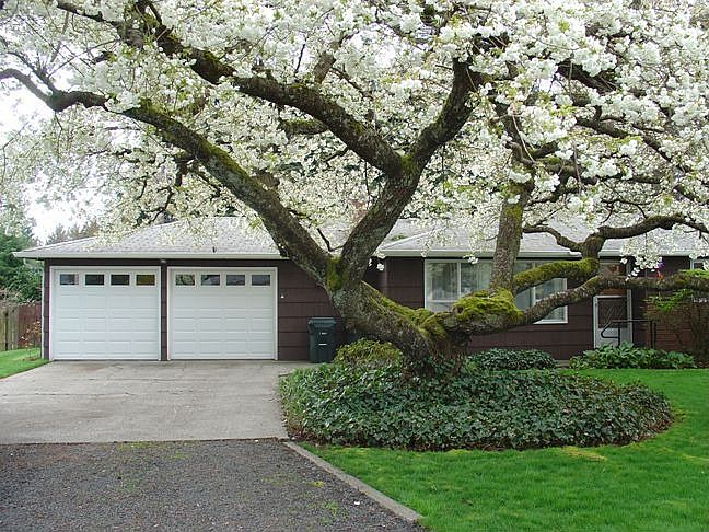 1st image of 4807 17th Ave SE