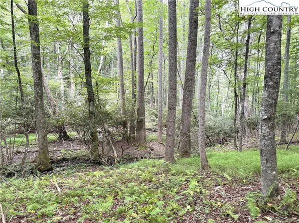 Lot 20 Fairfield Drive, Sparta, NC 28675