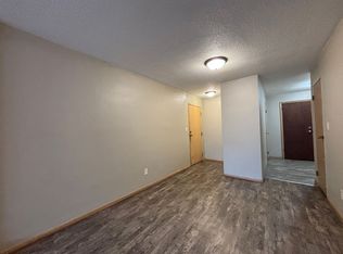 701 3rd St E APT 207, Saint Paul, MN 55106
