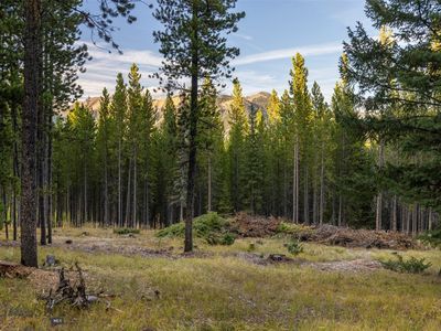 44 Amber Lily Dr, Big Sky, MT, 59716