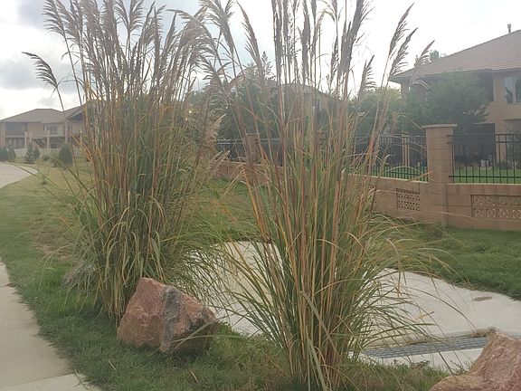 Lot is on the bike path