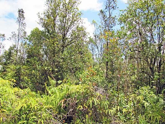 Looking into Lot 7299 from left of approximate middle.