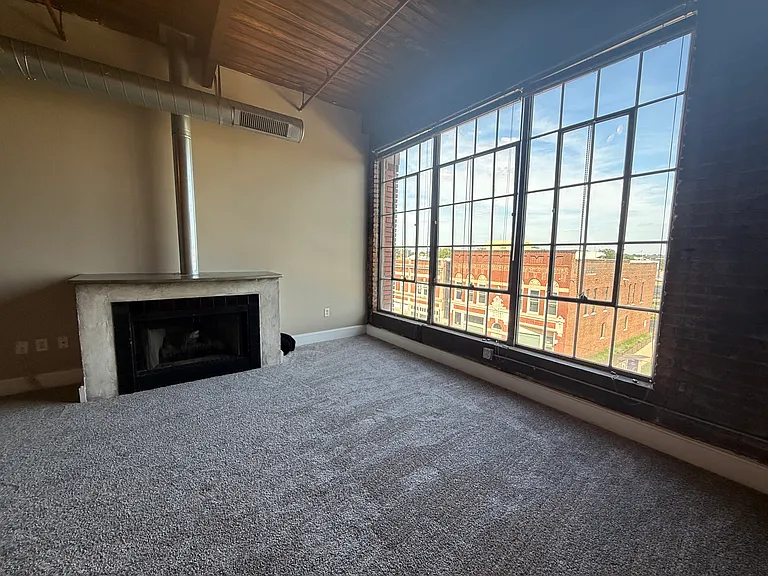 Living room fireplace and view